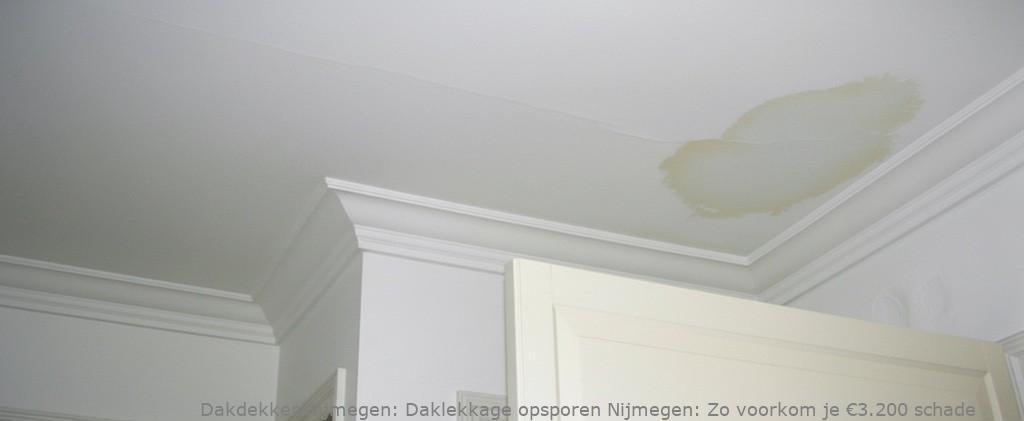 Daklekkage Opsporen Nijmegen 1