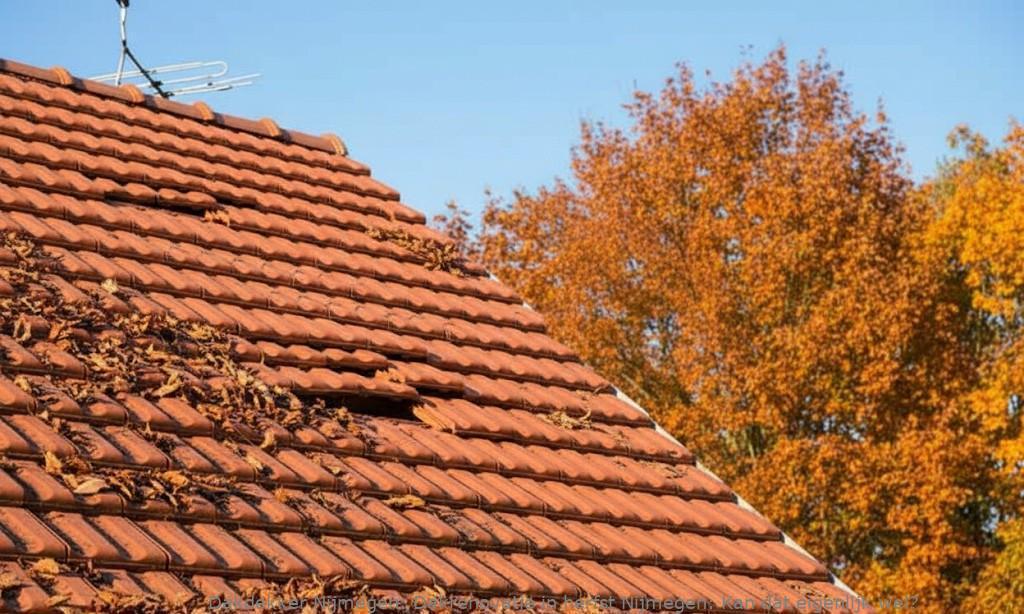 Dakrenovatie In Herfst Nijmegen