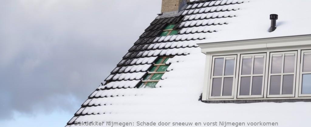 Schade Door Sneeuw En Vorst Nijmegen