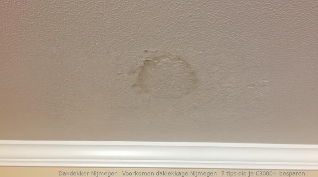 Voorkomen Daklekkage Nijmegen